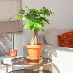 cadeau beste vriendin