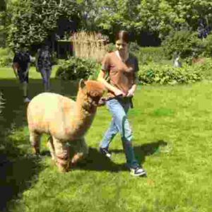 cadeau beste vriendin